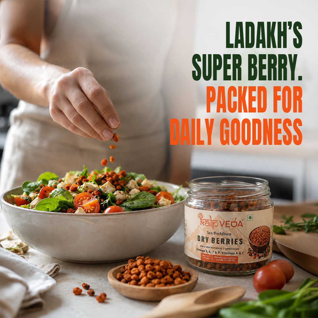 Kalpveda Himalayan Dried Sea Buckthorn Berries 100g | Vitamin C, Omega 3 6 7 9 & Antioxidants | Unsweetened Sun-Dried Wild Berries | No Added Sugar or Preservatives (Pack of 1)