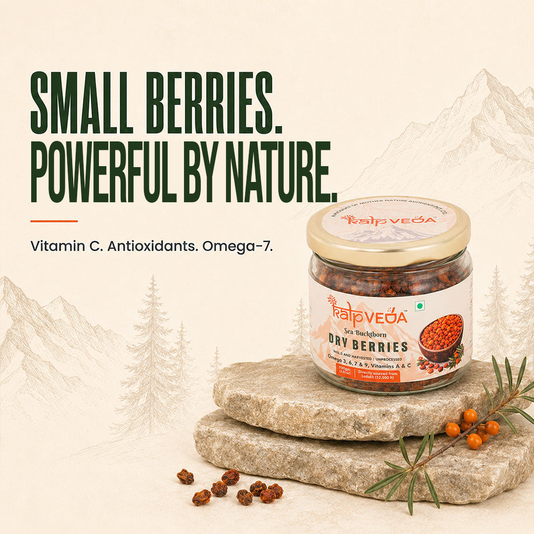 Kalpveda Himalayan Dried Sea Buckthorn Berries 100g | Vitamin C, Omega 3 6 7 9 & Antioxidants | Unsweetened Sun-Dried Wild Berries | No Added Sugar or Preservatives (Pack of 1)