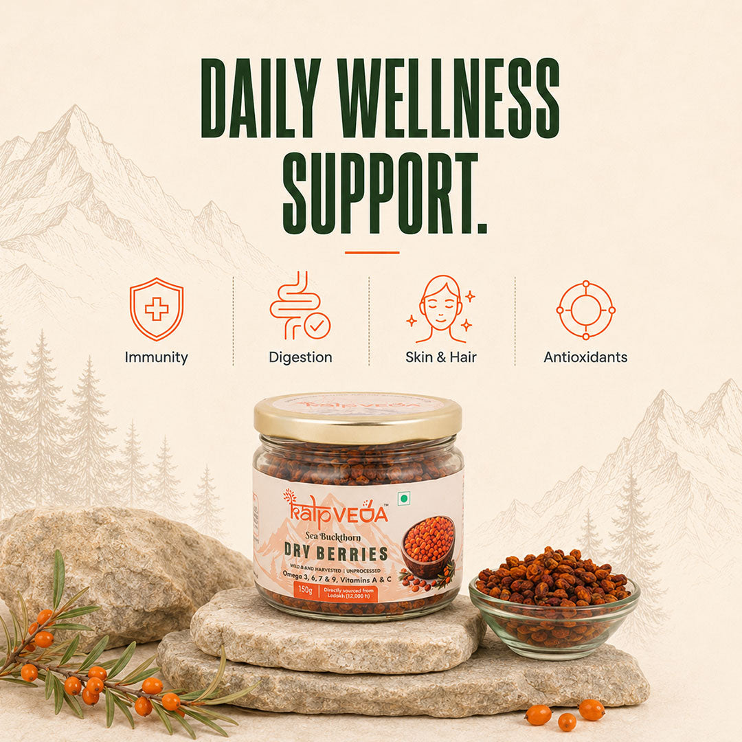 Kalpveda Himalayan Dried Sea Buckthorn Berries 100g | Vitamin C, Omega 3 6 7 9 & Antioxidants | Unsweetened Sun-Dried Wild Berries | No Added Sugar or Preservatives (Pack of 1)