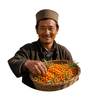 Our Farmers