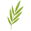 BERRY LEAF